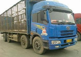 供應專線貨運公司 大件運輸公司